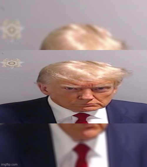 Donald Trump Mugshot | image tagged in donald trump mugshot | made w/ Imgflip meme maker