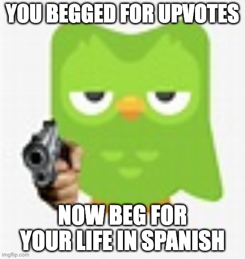 duolingo bird | YOU BEGGED FOR UPVOTES; NOW BEG FOR YOUR LIFE IN SPANISH | image tagged in duolingo bird | made w/ Imgflip meme maker