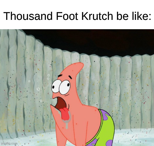 A Christian Hard Rock Band With an Identity Crisis | Thousand Foot Krutch be like: | image tagged in memes,music,rock music,heavy metal,spongebob,christianity | made w/ Imgflip meme maker