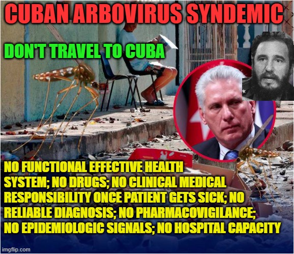 Cuban health crisis impacts U.S. mainland public health | CUBAN ARBOVIRUS SYNDEMIC; DON'T TRAVEL TO CUBA; NO FUNCTIONAL EFFECTIVE HEALTH SYSTEM; NO DRUGS; NO CLINICAL MEDICAL RESPONSIBILITY ONCE PATIENT GETS SICK; NO RELIABLE DIAGNOSIS; NO PHARMACOVIGILANCE; NO EPIDEMIOLOGIC SIGNALS; NO HOSPITAL CAPACITY | image tagged in cuba,usa,public health,dengue,zika virus,chikungunya | made w/ Imgflip meme maker