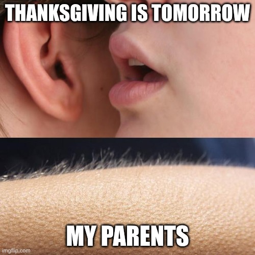 Also True | THANKSGIVING IS TOMORROW; MY PARENTS | image tagged in whisper and goosebumps | made w/ Imgflip meme maker