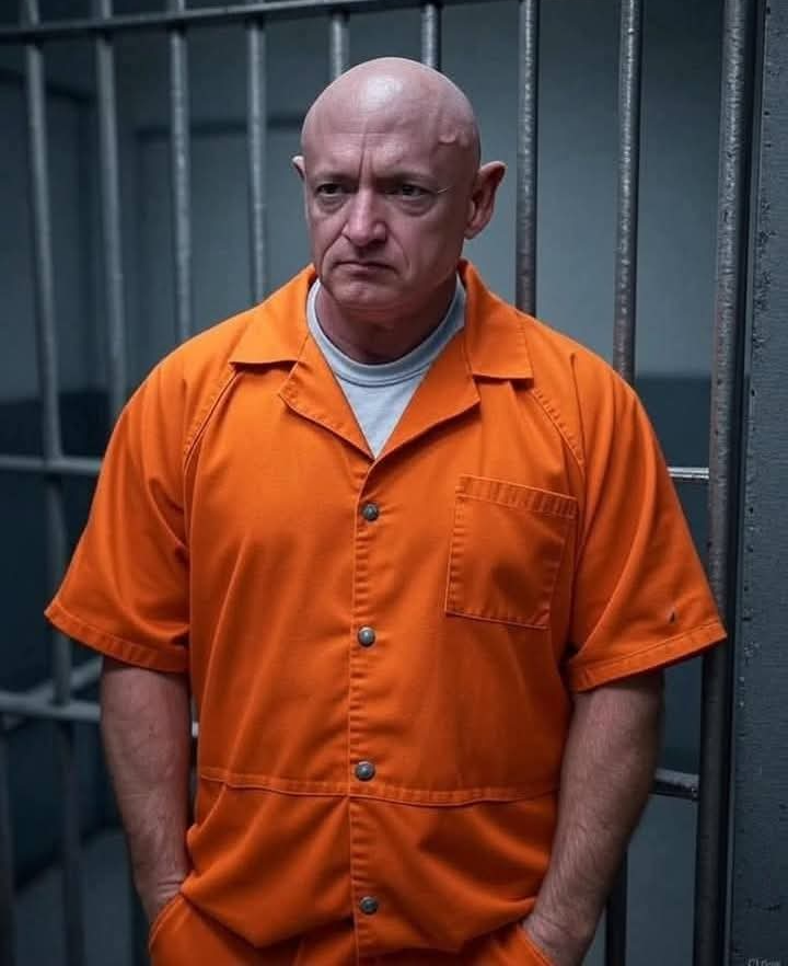 Mark Kelly Blank Meme Template