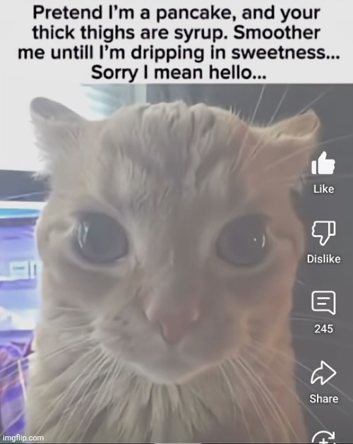 Hello | image tagged in hello | made w/ Imgflip meme maker