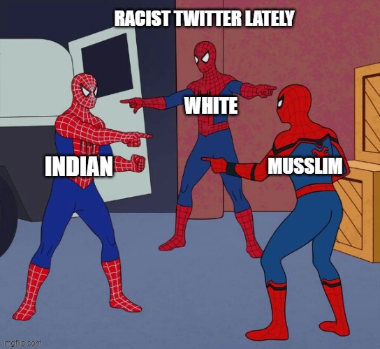 race ism | RACIST TWITTER LATELY; WHITE; MUSSLIM; INDIAN | image tagged in spider man triple | made w/ Imgflip meme maker