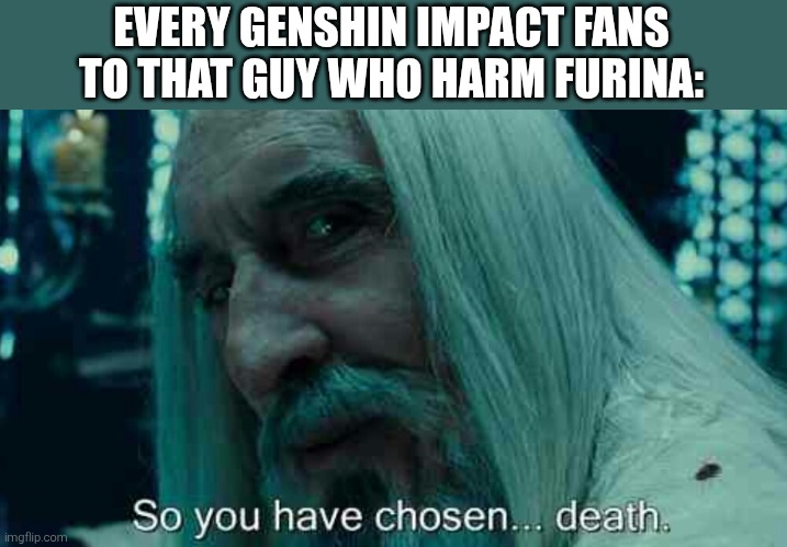 EVERY GENSHIN IMPACT FANS TO THAT GUY WHO HARM FURINA: | image tagged in so you have chosen death | made w/ Imgflip meme maker