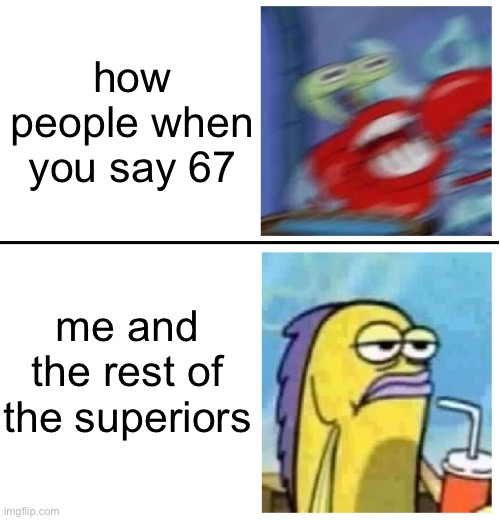 legit everyone except for me because normies are so annoying ? | how people when you say 67; me and the rest of the superiors | image tagged in excited vs bored | made w/ Imgflip meme maker