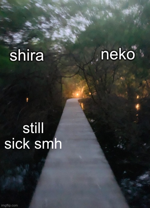 shira n neko shared temp | still sick smh | image tagged in shira n neko shared temp | made w/ Imgflip meme maker
