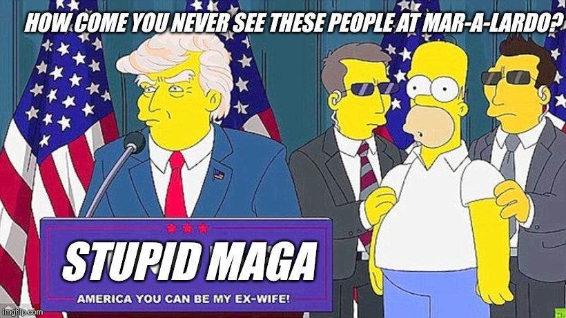 Maga losers | HOW COME YOU NEVER SEE THESE PEOPLE AT MAR-A-LARDO? STUPID MAGA | made w/ Imgflip meme maker