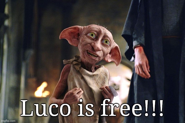 Dobby is free | Luco is free!!! | image tagged in dobby is free | made w/ Imgflip meme maker