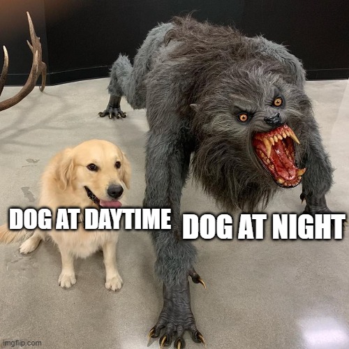 DOG AT DAYTIME DOG AT NIGHT | image tagged in good dog scary dog | made w/ Imgflip meme maker