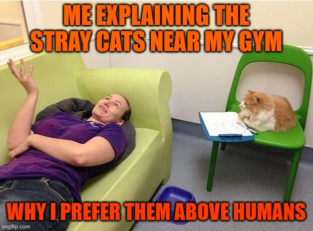 Cat psychologist | ME EXPLAINING THE STRAY CATS NEAR MY GYM; WHY I PREFER THEM ABOVE HUMANS | image tagged in cat psychologist | made w/ Imgflip meme maker