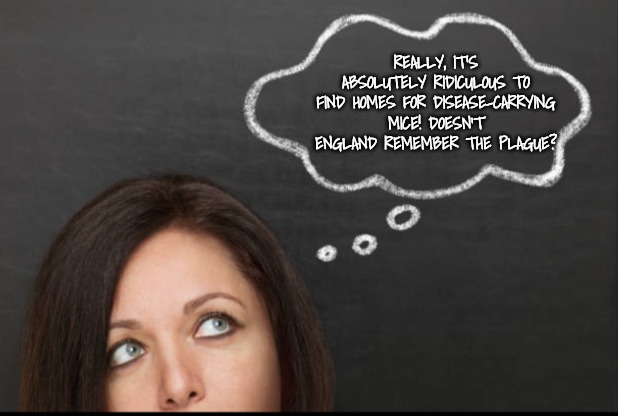 Thought | REALLY, IT'S ABSOLUTELY RIDICULOUS TO FIND HOMES FOR DISEASE-CARRYING MICE! DOESN'T ENGLAND REMEMBER THE PLAGUE? | image tagged in thought | made w/ Imgflip meme maker