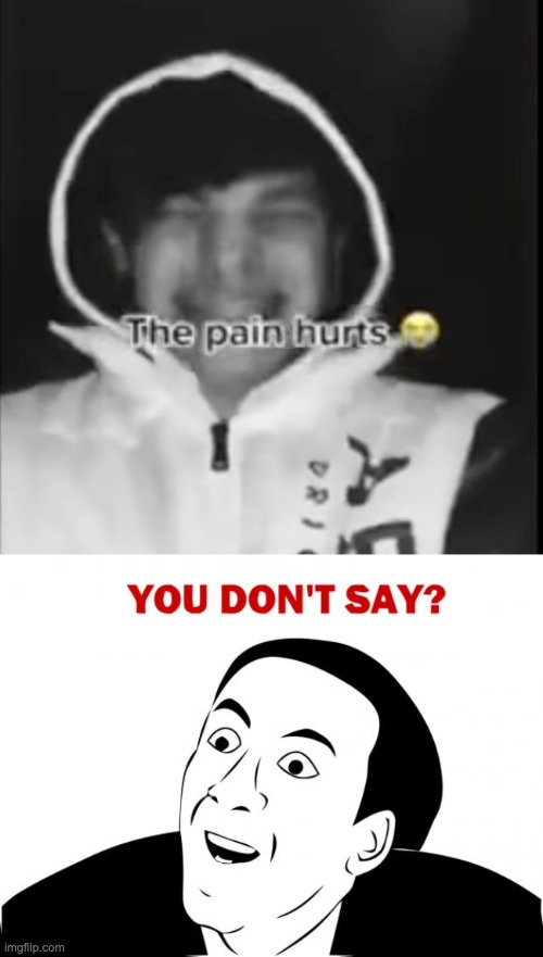 image tagged in the pain hurts,memes,you don't say | made w/ Imgflip meme maker