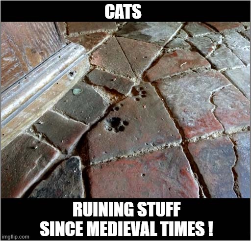 Cat Paw Prints Circa 1500 | CATS; RUINING STUFF
SINCE MEDIEVAL TIMES ! | image tagged in cats,paw prints,medieval,ruined,tiles | made w/ Imgflip meme maker