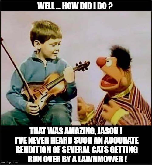 Ernie Discouraging A Young Violin Player | WELL ... HOW DID I DO ? THAT WAS AMAZING, JASON ! 
I'VE NEVER HEARD SUCH AN ACCURATE
RENDITION OF SEVERAL CATS GETTING
 RUN OVER BY A LAWNMOWER ! | image tagged in ernie,discouraging,violin | made w/ Imgflip meme maker