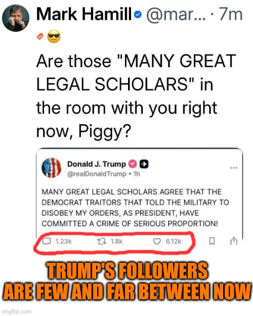 Where Did All The Maga Terrorists Go?  Maga Voted 4 ALL Of Trump's Lies Even Though EVERYONE TOLD THEM IT WAS ALL LIES YEARS AGO | TRUMP'S FOLLOWERS ARE FEW AND FAR BETWEEN NOW | image tagged in memes,maga,nazis,deplorable donald,despicable donald,disgusting | made w/ Imgflip meme maker