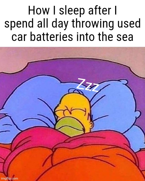 Don't read the tags | How I sleep after I spend all day throwing used car batteries into the sea; Zzz | image tagged in if ur reading this i had sex with your mother,and your father too,and your dog,and your jar of nutella in the cupboard | made w/ Imgflip meme maker