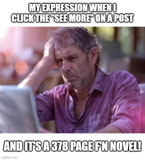 Social media posts | MY EXPRESSION WHEN I CLICK THE "SEE MORE" ON A POST; AND IT'S A 378 PAGE F'N NOVEL! | image tagged in see more,at computer,sigh,too much | made w/ Imgflip meme maker