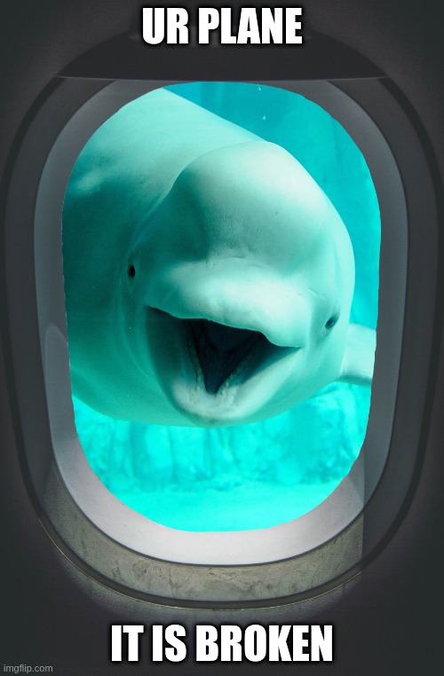 ur plane is broken | UR PLANE; IT IS BROKEN | image tagged in beluga plane window | made w/ Imgflip meme maker