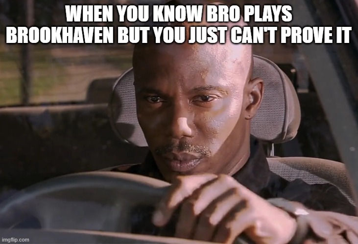 Doakes | WHEN YOU KNOW BRO PLAYS BROOKHAVEN BUT YOU JUST CAN'T PROVE IT | image tagged in doakes | made w/ Imgflip meme maker