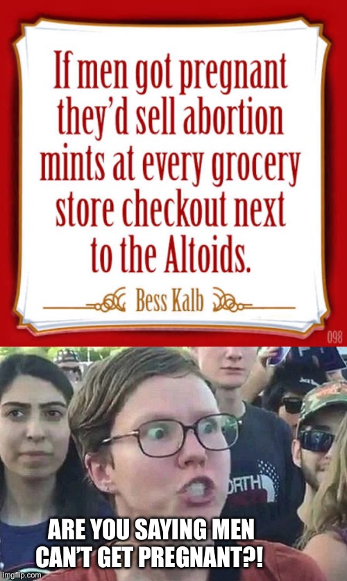 Leftist to leftist argument | ARE YOU SAYING MEN CAN’T GET PREGNANT?! | image tagged in triggered liberal,stupid liberals,liberal logic | made w/ Imgflip meme maker