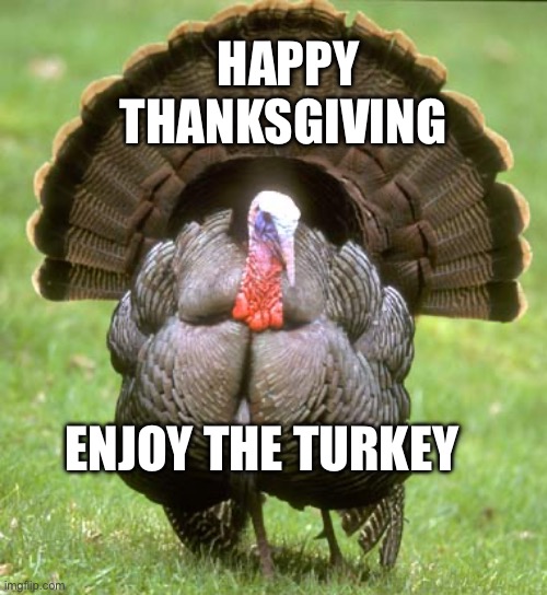 Enjoy your holiday | HAPPY THANKSGIVING; ENJOY THE TURKEY | image tagged in memes,turkey | made w/ Imgflip meme maker