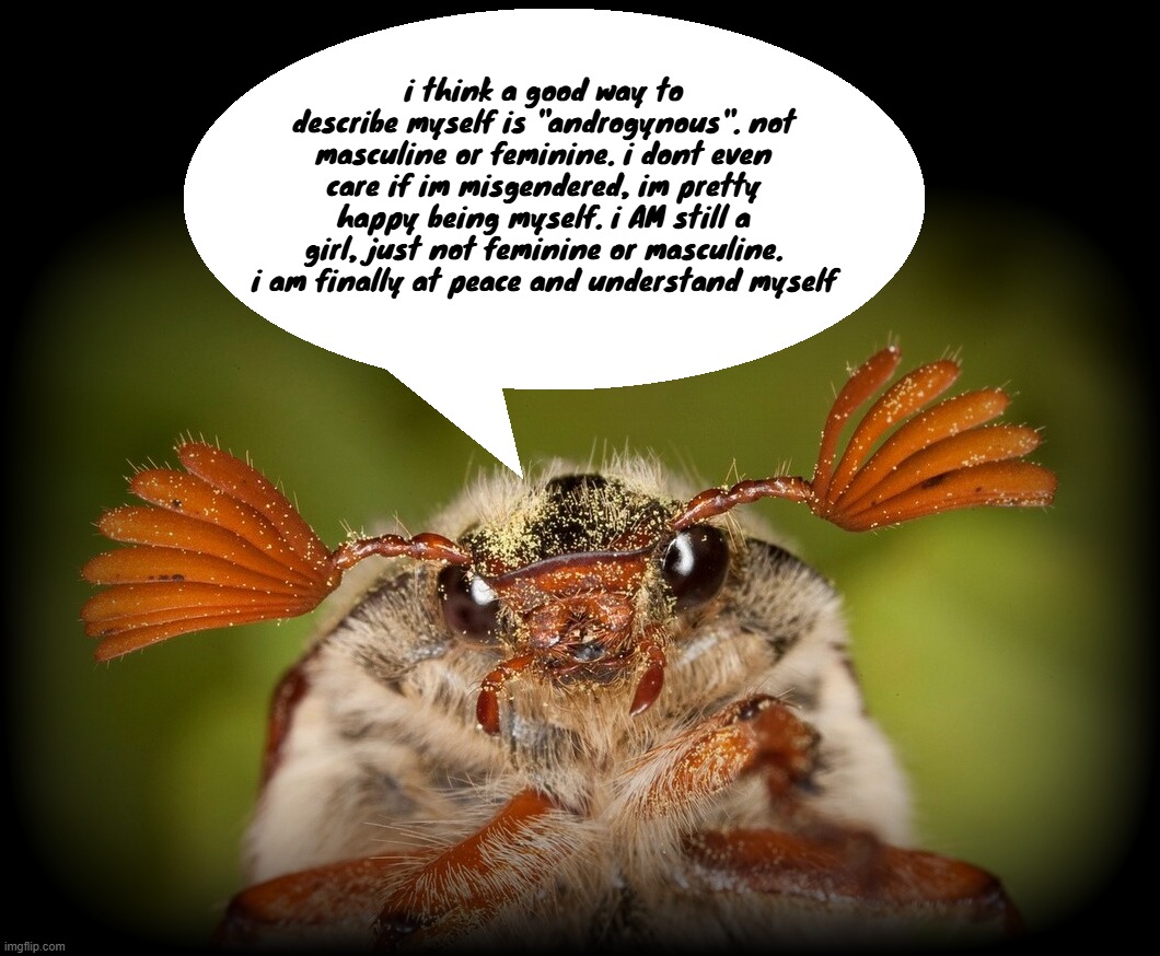 Doodlebug/odd announcement temp | i think a good way to describe myself is "androgynous". not masculine or feminine. i dont even care if im misgendered, im pretty happy being myself. i AM still a girl, just not feminine or masculine. i am finally at peace and understand myself | image tagged in doodlebug/odd announcement temp | made w/ Imgflip meme maker