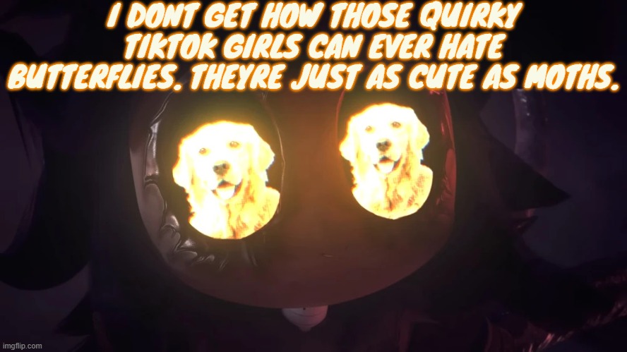 Doggy eyes :3 | I DONT GET HOW THOSE QUIRKY TIKTOK GIRLS CAN EVER HATE BUTTERFLIES. THEYRE JUST AS CUTE AS MOTHS. | image tagged in doggy eyes 3 | made w/ Imgflip meme maker