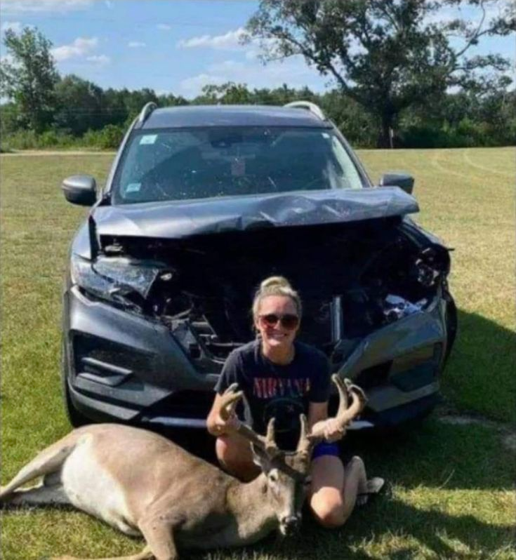 Chrisjoines1 Blank Meme Template