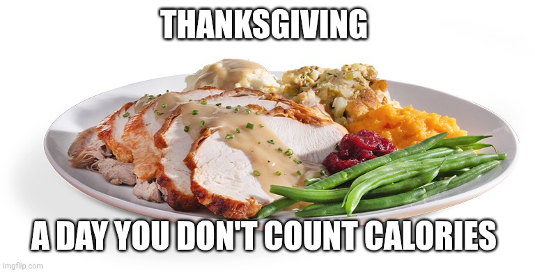 Thanksgiving | THANKSGIVING; A DAY YOU DON'T COUNT CALORIES | image tagged in thanksgiving dinner menu green box seasons 52,funny memes | made w/ Imgflip meme maker