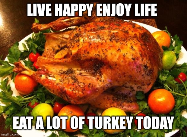 Enjoy your Turkey | LIVE HAPPY ENJOY LIFE; EAT A LOT OF TURKEY TODAY | image tagged in roasted turkey,funny memes | made w/ Imgflip meme maker