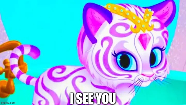 nahal looking at you | I SEE YOU | image tagged in memes | made w/ Imgflip meme maker