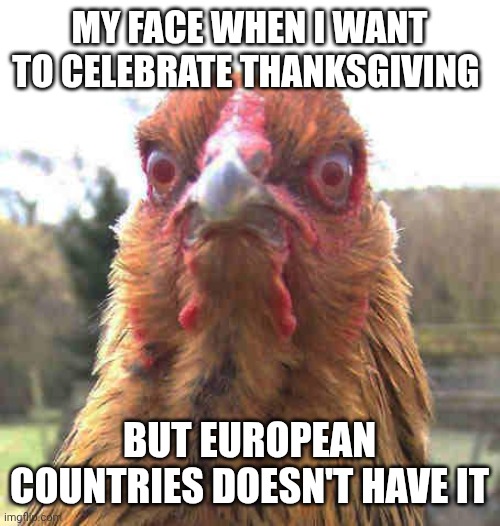revenge chicken | MY FACE WHEN I WANT TO CELEBRATE THANKSGIVING; BUT EUROPEAN COUNTRIES DOESN'T HAVE IT | image tagged in revenge chicken | made w/ Imgflip meme maker