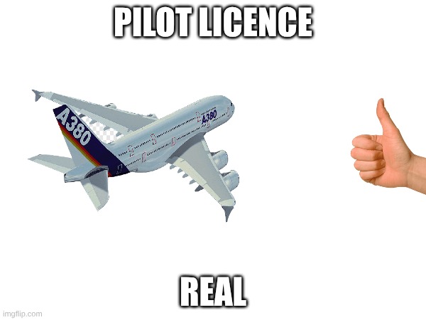 pilot licence | PILOT LICENCE; REAL | image tagged in yes | made w/ Imgflip meme maker