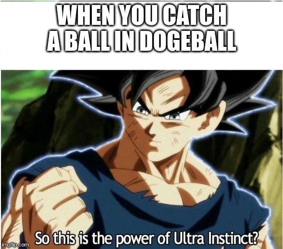 Ultra Instinct | WHEN YOU CATCH A BALL IN DOGEBALL | image tagged in ultra instinct | made w/ Imgflip meme maker