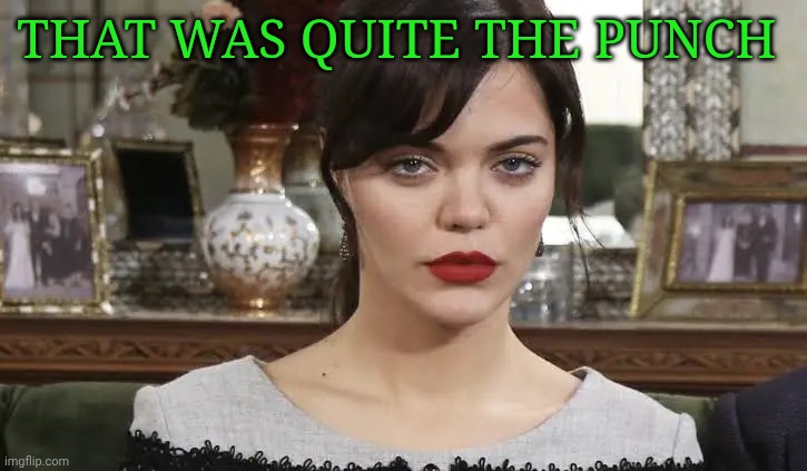 Zuleyha Altun- Bitter lands/Terra Amara | THAT WAS QUITE THE PUNCH | image tagged in zuleyha altun- bitter lands/terra amara | made w/ Imgflip meme maker