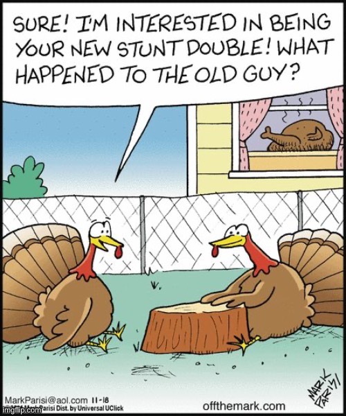 “Oh, he’s around here somewhere…” | image tagged in repost,comics,off the mark,thanksgiving,turkeys,stunt double | made w/ Imgflip meme maker