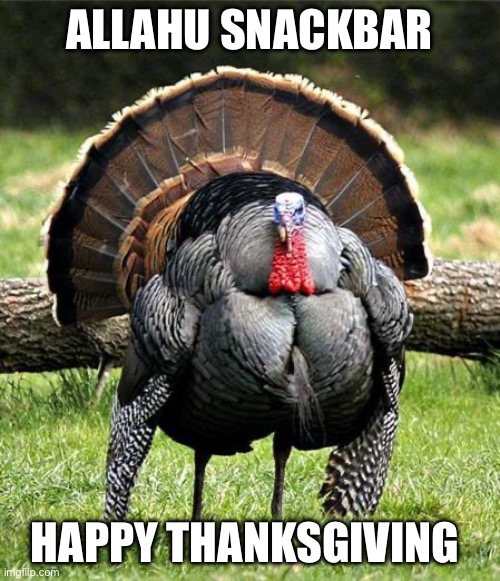 ALLAHU SNACKBAR HAPPY THANKSGIVING | image tagged in thanksgiving day | made w/ Imgflip meme maker