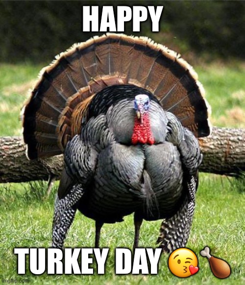 Turkey Day | HAPPY; TURKEY DAY 😘🍗 | image tagged in thanksgiving day | made w/ Imgflip meme maker
