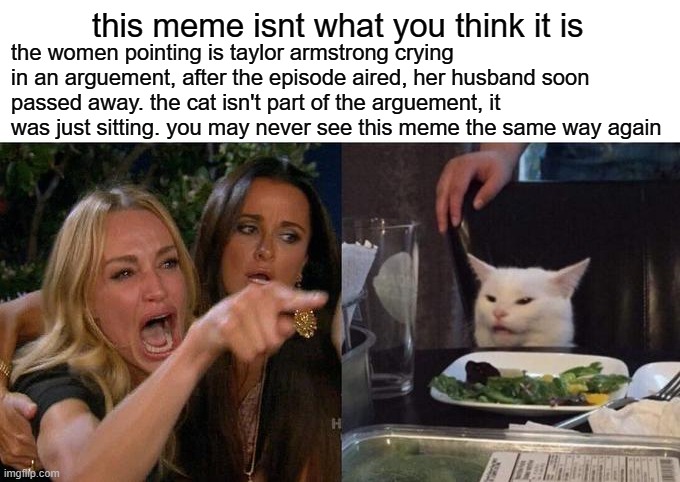 It Isn't What You Think | this meme isnt what you think it is; the women pointing is taylor armstrong crying in an arguement, after the episode aired, her husband soon passed away. the cat isn't part of the arguement, it was just sitting. you may never see this meme the same way again | image tagged in memes,woman yelling at cat,truth,deep | made w/ Imgflip meme maker