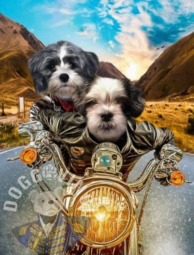 Henry and Sally on motorcycle Blank Meme Template