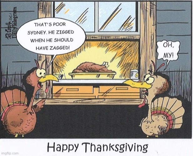 image tagged in comics,turkeys,sydney,zig zag,thanksgiving | made w/ Imgflip meme maker