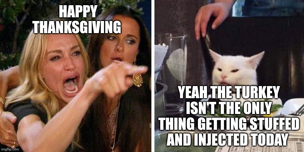 Smudge that darn cat with Karen | HAPPY THANKSGIVING; YEAH THE TURKEY ISN'T THE ONLY THING GETTING STUFFED AND INJECTED TODAY | image tagged in smudge that darn cat with karen | made w/ Imgflip meme maker