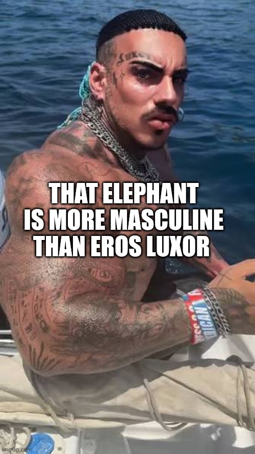Eros Luxor at sea | THAT ELEPHANT IS MORE MASCULINE THAN EROS LUXOR | image tagged in eros luxor at sea | made w/ Imgflip meme maker
