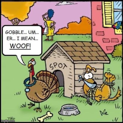 image tagged in comics,thanksgiving,turkey,dog,disguise | made w/ Imgflip meme maker