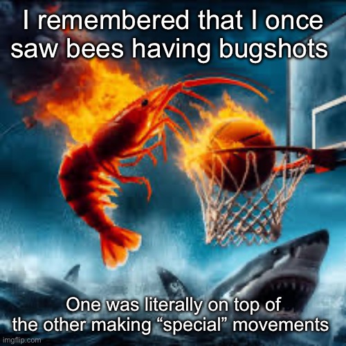 Ballin shrimp | I remembered that I once saw bees having bugshots; One was literally on top of the other making “special” movements | image tagged in ballin shrimp | made w/ Imgflip meme maker