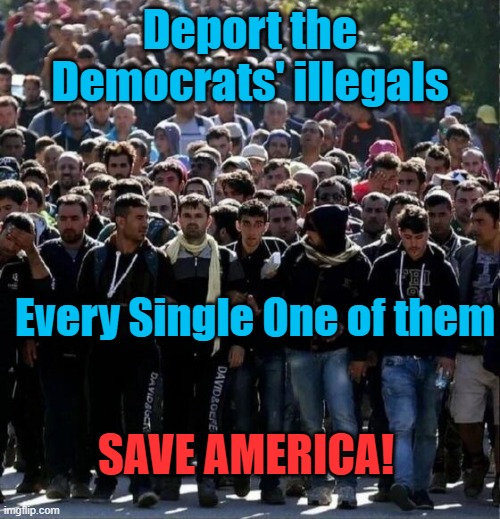 Deport the Democrats illegals and save America | Deport the Democrats' illegals; Every Single One of them; SAVE AMERICA! | image tagged in illegals,democrats | made w/ Imgflip meme maker