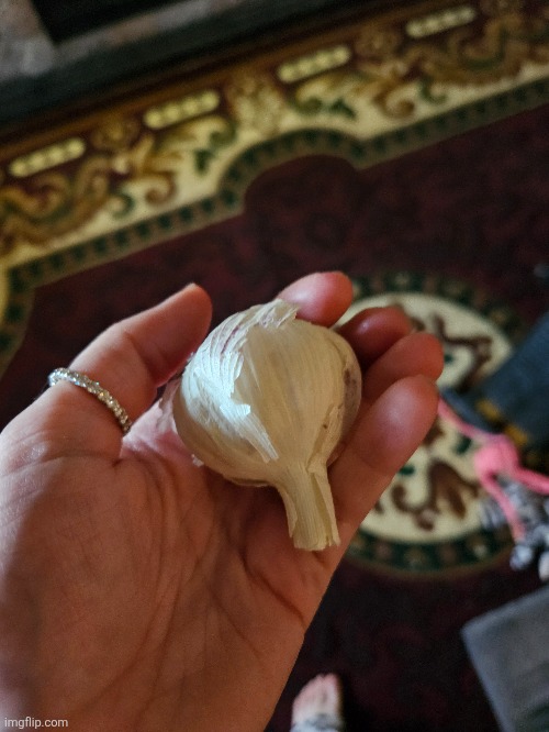 Oh my God the "vampire" is holding garlic | made w/ Imgflip meme maker