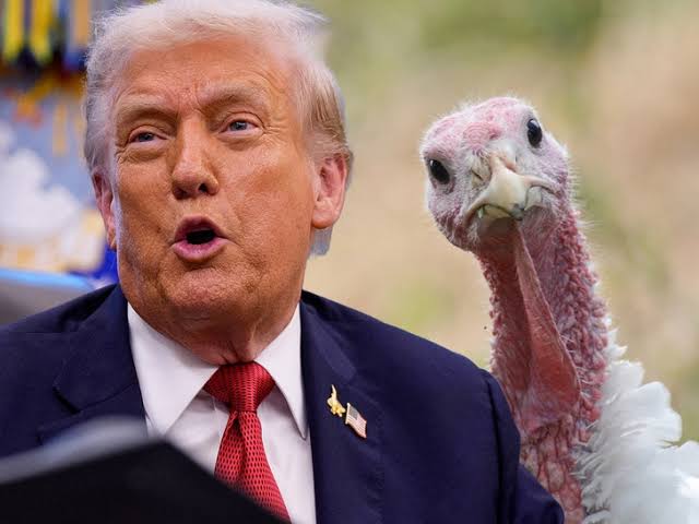 Trump turkey Blank Meme Template