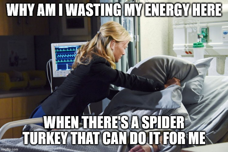 pillow smother | WHY AM I WASTING MY ENERGY HERE WHEN THERE'S A SPIDER TURKEY THAT CAN DO IT FOR ME | image tagged in pillow smother | made w/ Imgflip meme maker